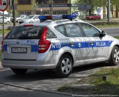 Łoś wbiegł pod BMW w Nietulisku Dużym. Dwie osoby w szpitalu
